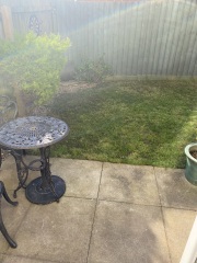 Help me save my garden!