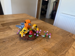 To show me your Lego collection?