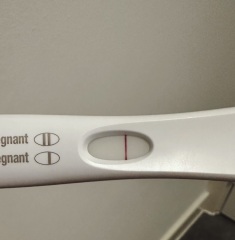 FRER Indent