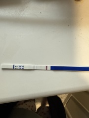 Positive clear this morning then a fainter line then a negative all same tests?