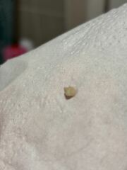 Look at the size of this