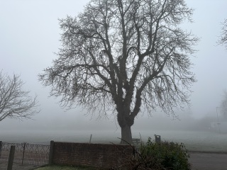 The Year Round Nigel Slater Discussion thread