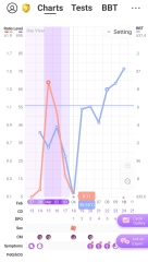 BBT Newbie this cycle  - when did I ovulate?