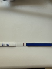 Positive clear this morning then a fainter line then a negative all same tests?