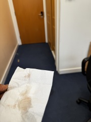 Pregnancy test period 1 day late - help please!