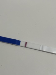 March 2025 TTC support group