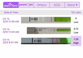 April 2025 TTC Support Group