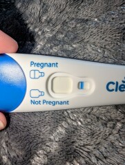 Clear blue test. Evap line or positive