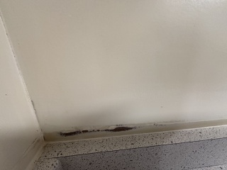 Daily Project round 7