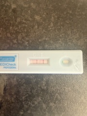 hGC on pregnancy test