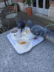 Come and tell us your dull and unexciting news 33: Calmly through the day