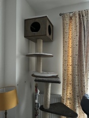 Are Cat Trees Worth It?