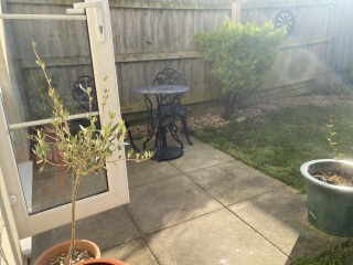 Help me save my garden!