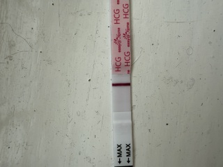 Is this a BFP or an evap?