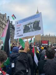 To be horrified that Israel is slaughtering children at a rate not seen for ober