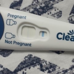 Clear blue test. Evap line or positive