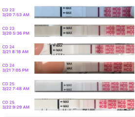 Wondfo indents?