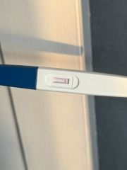 March 2025 TTC support group