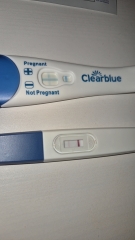 Line Progression but still testing 1-2 on Clear Blue