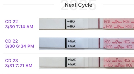 Is this a BFP or an evap?