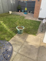 Help me save my garden!