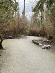 Come and tell us your dull and unexciting news 33: Calmly through the day