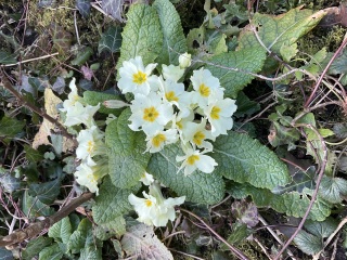 Come and tell us your dull and unexciting news 33: Calmly through the day