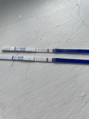 Is this an evaporation line or a positive?