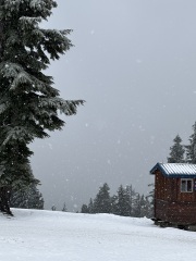 Come and tell us your dull and unexciting news 33: Calmly through the day