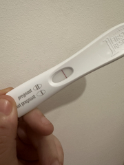 Testing 6dpo is a bit too early isn’t it?