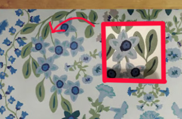 AIBU - Painter has painted onto glass of windows?