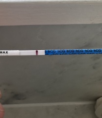 Expired one step pregnancy tests (negative results)