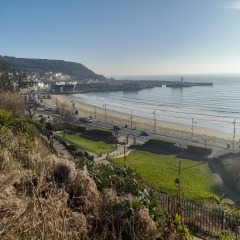 The Happy Place Café and Tilly's dog wash is still open.