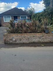 MN Gardening Hive Mind - what can I plant in this bed that won't upset my neighbour?