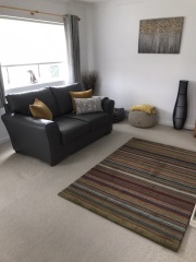 Help with rug