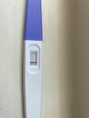 Can anyone see anything please…