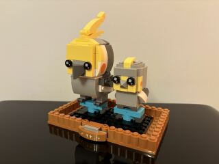 To show me your Lego collection?