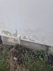 Damp on external wall?
