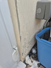 Damp on external wall?
