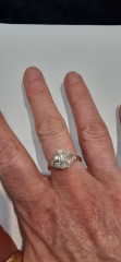 Which ring?