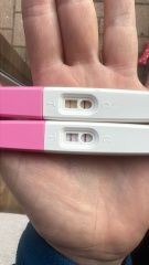 Progress on cheap test not First Response