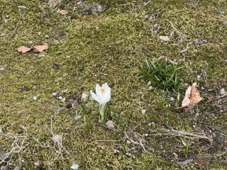 Come and tell us your dull and unexciting news 33: Calmly through the day