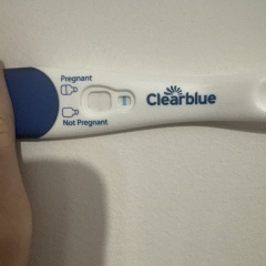 Clear blue test. Evap line or positive