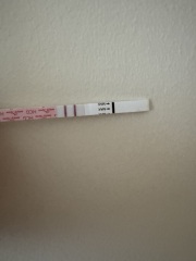 11dpo