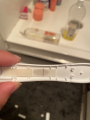 Pregnancy symptoms and test results