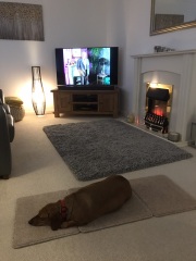 Help with rug