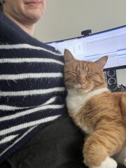 What do your cats do every day that make your heart swell?