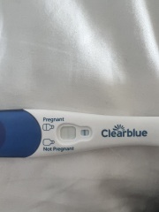 I am so confused please help