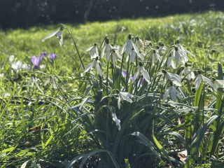 The Year Round Nigel Slater Discussion thread