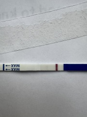 March 2025 TTC support group